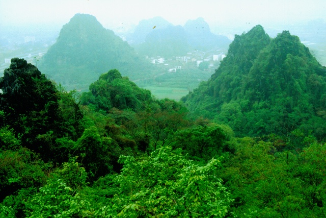 Liu Feng Mountain